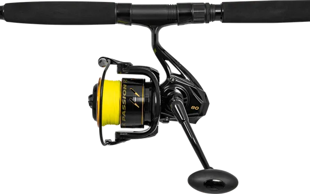 Black Cat Hard Core Allround Kombo 270cm 500g 2 Freshwater