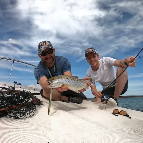 Savage Gear Sandeel Pencil 9cm 13g Motor Oil UV