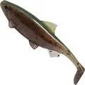 Seika Pro Fabrico Pike Softbait 18cm 72g Shad Brownie