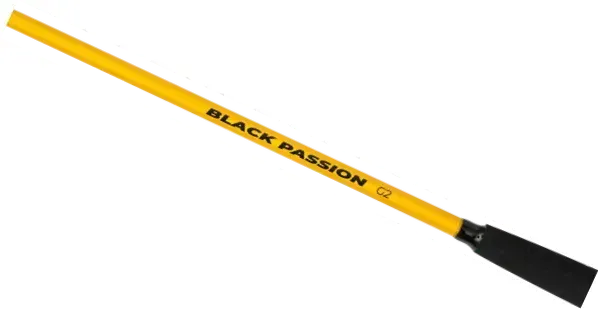 Black Cat Black Passion G2 Spinnrute 2.7m 50–200g 323g 145cm