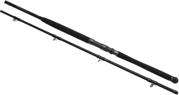 Bullseye Nazgul 300 LR Rute 3m 408g 158cm Spitzenaktion