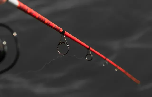 Abu Garcia Max X Stationärrolle SP5 2.9kg 52cm 4