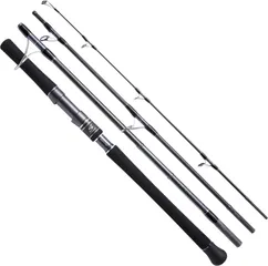 Hearty Rise Skywalker Popping 794H Sea Fishing Rod 2.38m 80–180g 4pc