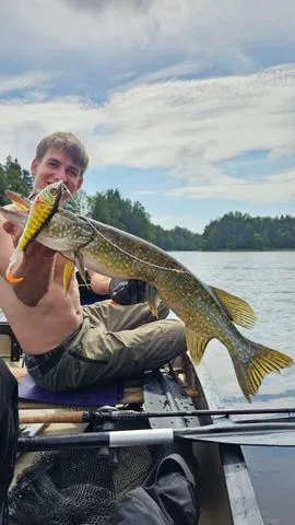 Savage Gear Deviator Tail Tail-Köder & Hybrid-Köder 16.5cm 48g 0.5–1.5m Clear Herring