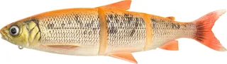 Savage Gear 3D Line Thru Whitefish Swimbait 17cm 53g Golden Albino