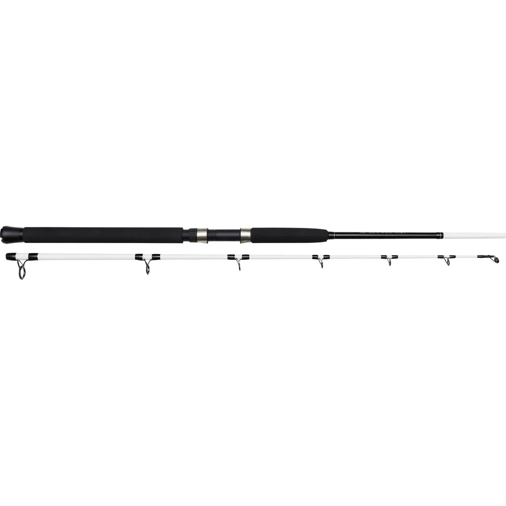 Kinetic Witcher Salt CC Meeresrute P8 1.8m 100–400g 2pc