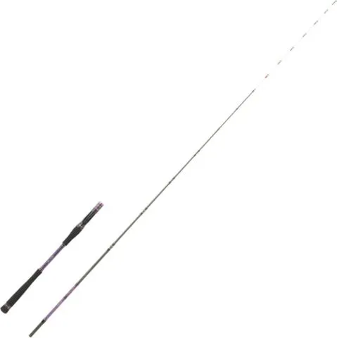 Hearty Rise Shiga Tenya Cast Baitcaster-Rute 2.05m 30–60g