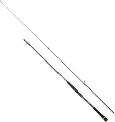 Hearty Rise Salt Monster SW Spin Spinnrute 2.50m 9–35g 157g 130cm