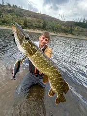 Savage Gear 4D Line Thru Pulse Tail Trout Softbaits 20cm 102g Slow Sinking Green Silver