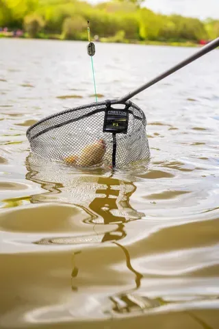 Preston Carbon F1 Kescher 41cm Latex