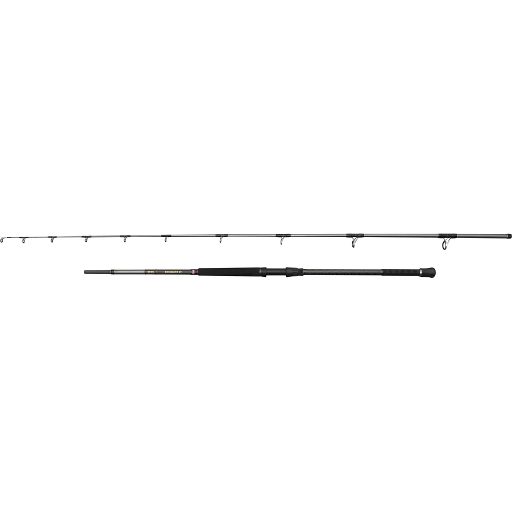 PENN REGIMENT IV Uptide Meeresrute 1002 3.04m 70–300g 2pc