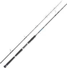 Balzer Adrenalin Medium S 250 Meeresrute 2.4m 90–250g 2pc