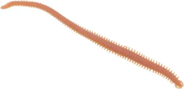 Berkley Gulp! Alive! Néréïs 15cm 59g Bloody