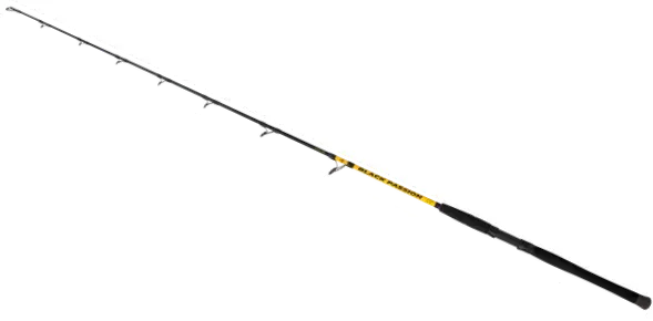 Black Cat Black Passion G2 Vertical Wallerrute 180cm