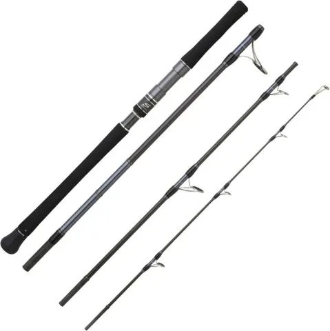 Hearty Rise Skywalker Exo Light Spinnrute 2.56m 80–180g