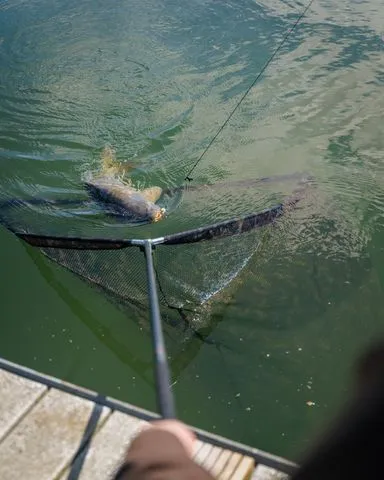 Fox Horizon X4S Landing Net 107cm Camo Mesh High Modulus Carbon