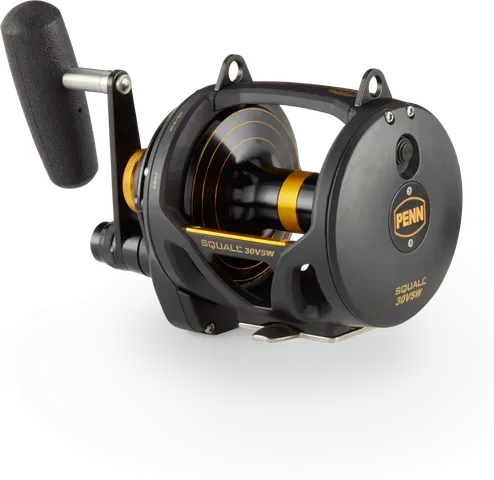 Penn Squall Lever Drag 2 Speed IGFA16 11.7kg 1091g 4.5:1 / 2.1:1