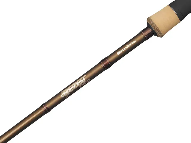 Abu Garcia Beast Pro2 Spinning Rod 802 H 2.44m 30–110g