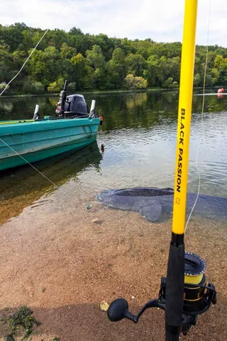 Black Cat Black Passion G2 Spinnrute 2.4m 50–200g 275g 140cm