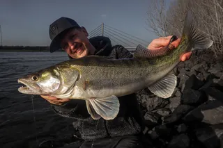 Mit Dropshot gezielt auf Winter Zander! 