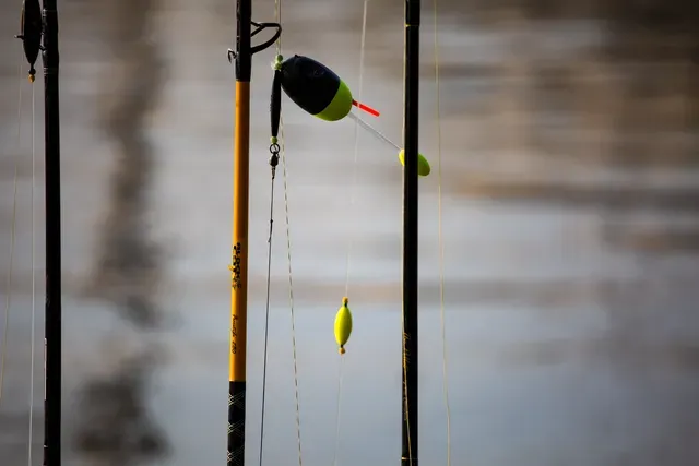 Black Cat Catfish Float 100g