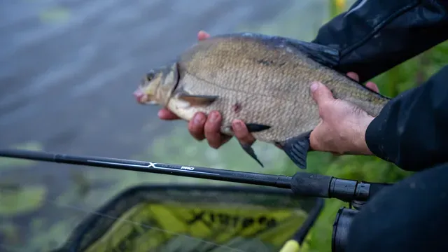 Matrix Horizon X Ultra Pro Distance Feeder Rod 4.2m 150g 278g