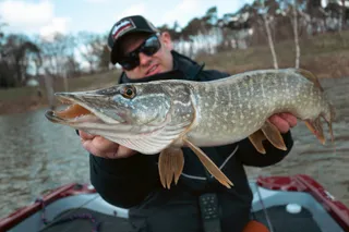 Das Frühjahr kommt!