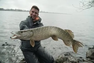 Berkley DEX Stunna 100 Jerkbaits 10cm 10.2g 0.7–1.5m Super Slow Sinking