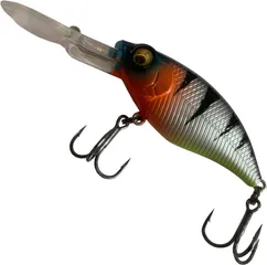 Westin BuzzBite Crankbait 5cm 6g Didis Crazy Perch