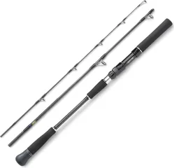 Hearty Rise Skywalker Norway Jigging Spin Meeresrute 613S/300 1.87m 100–300g 3pc