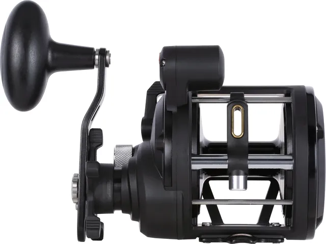 PENN Rival II Trollingrolle 30 3.9:1 7kg Rechts