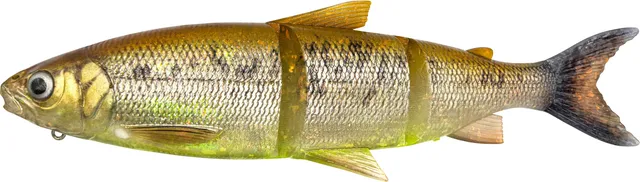 Savage Gear 3D Line Thru Whitefish Swimbait 17cm 53g Brown Chartreuse