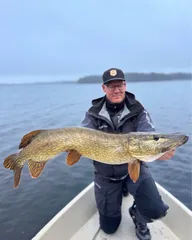 Fall Season - Die goldene Jahreszeit für dicke Hechte!