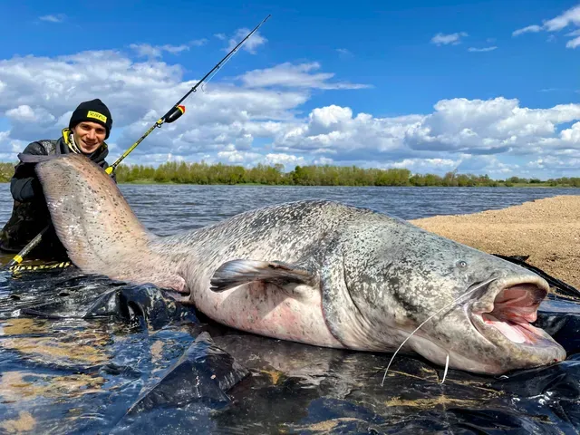 Black Cat Perfect Passion Boat Spin 2.40m 50–190g 350g 120cm