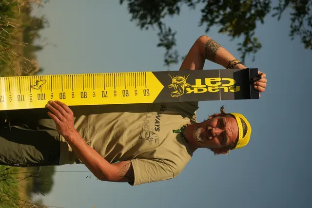 Black Cat Cat Measure 300cm Maßband