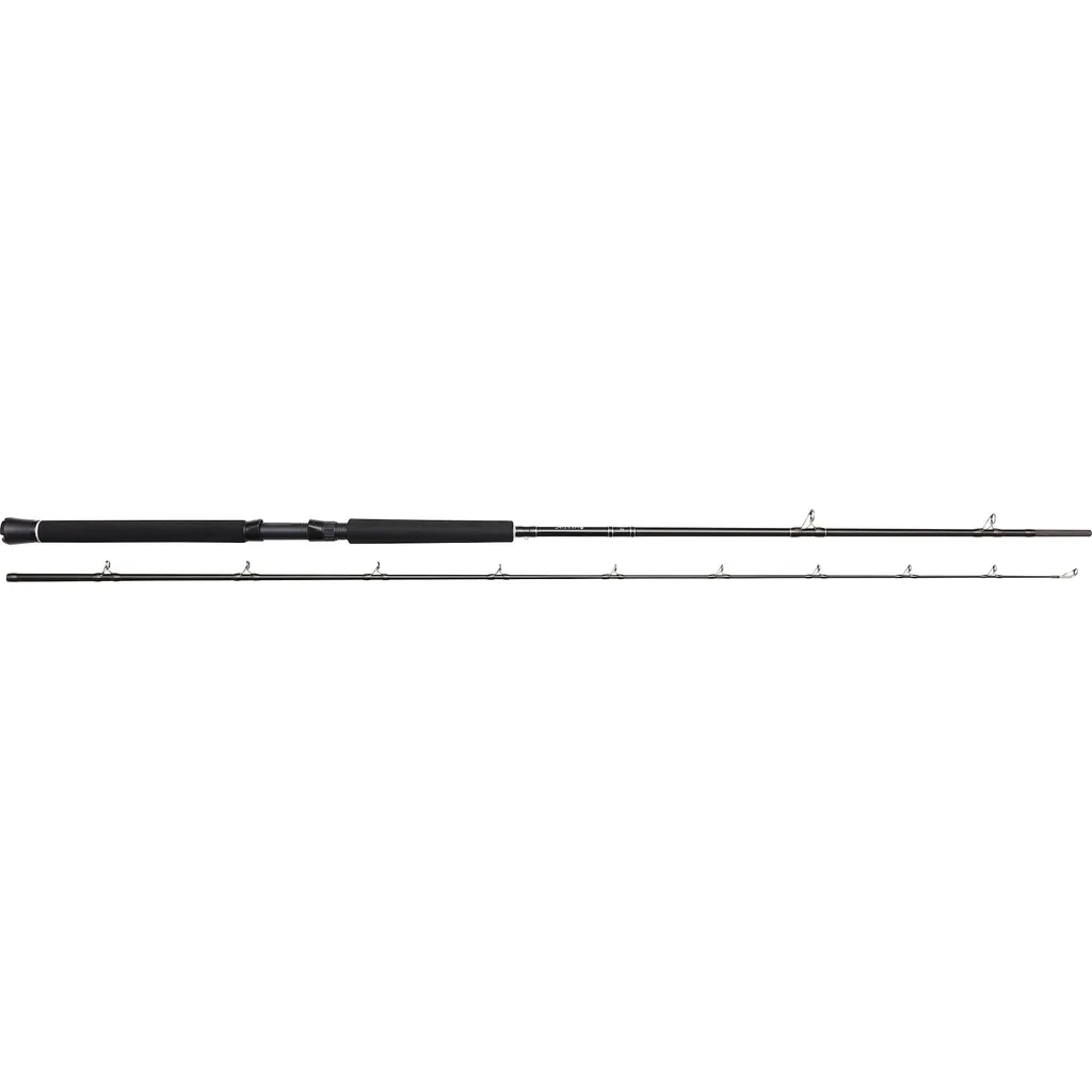 Westin W2 Predator Trolling 2.55m 60-180g 2pc