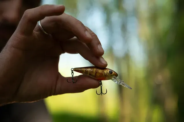 Salmo Rattlin' Executor Crankbait SDR 7cm 1.5–3.9m 8g Brown Perch