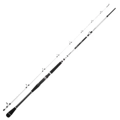 Spro Salty Beast Nano Jig BC Sea Fishing Rod 2.4m 150g 2pc