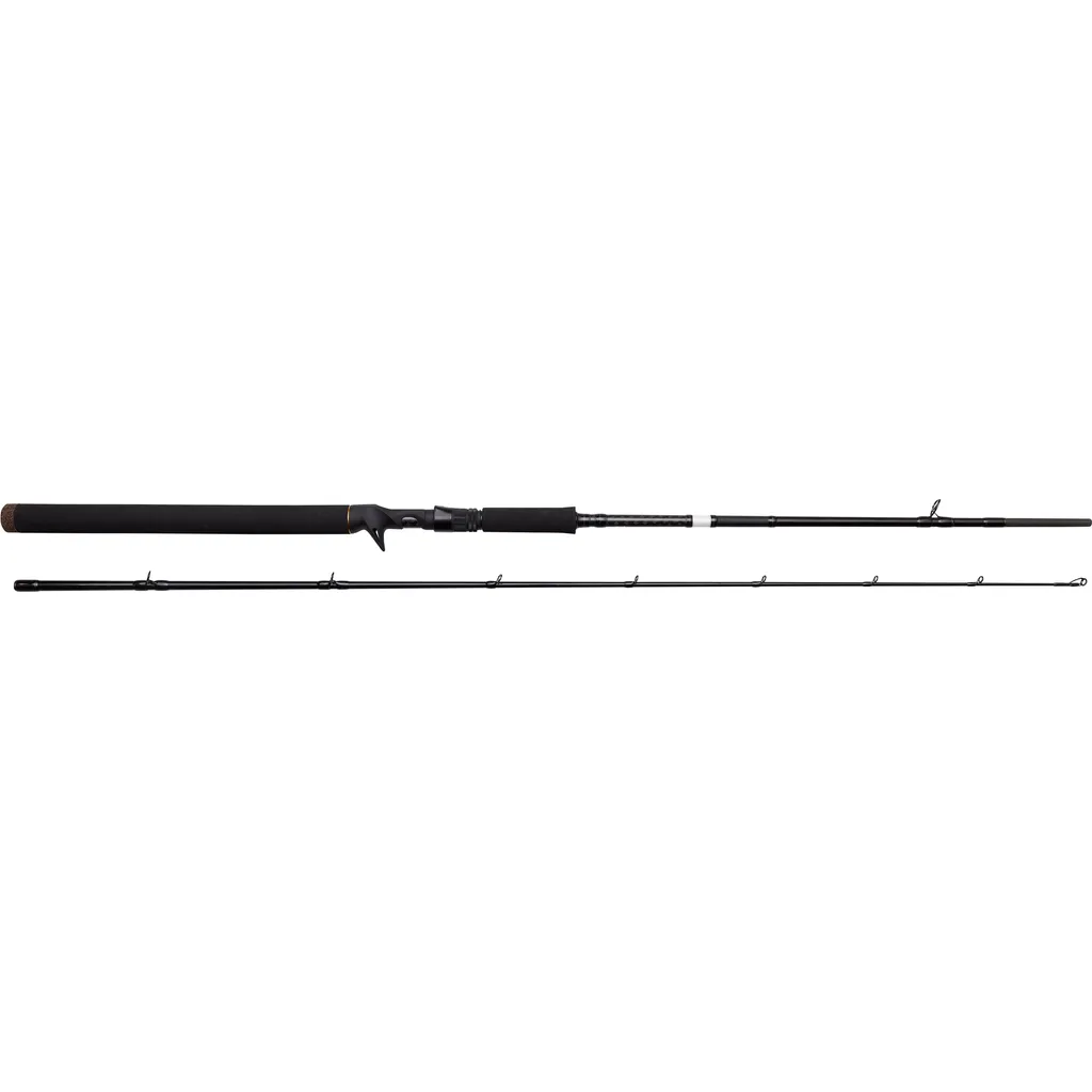 Savage Gear SG2 Jerk Specialist BC Castingrute 1,98m 30–80g 2pc