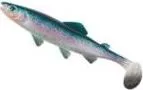 Balzer Shirasu Clone Shad Softbait 6.5cm RaTro