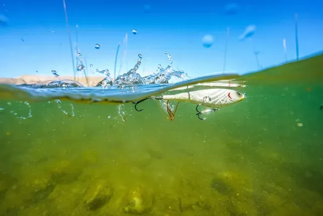 Berkley Choppo Topwater 9cm 14g Ghost Bluegill