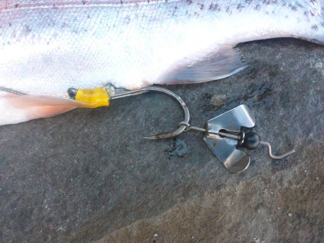 Black Cat Buzzer-Hook DG Haken #7/0 Silver