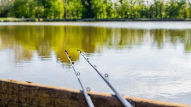 Preston Dura Pellet Waggler Rod 3.35m 4–12g