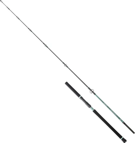 Hearty Rise Monster Game Tuna Hunter S Meeresrute 2.38m 80–180g 2pc