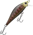 Lucky Craft Pointer Jerkbait 50SS 5cm 6g Rainbow Trout