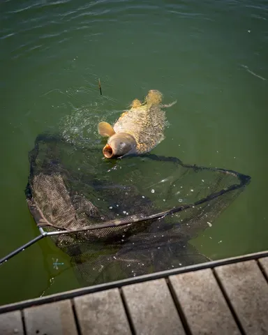 Fox Horizon X4S Landing Net 107cm 240cm Camo Mesh High Modulus Carbon