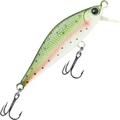 Lucky Craft Pointer 50S Jerkbait Rainbow Trout