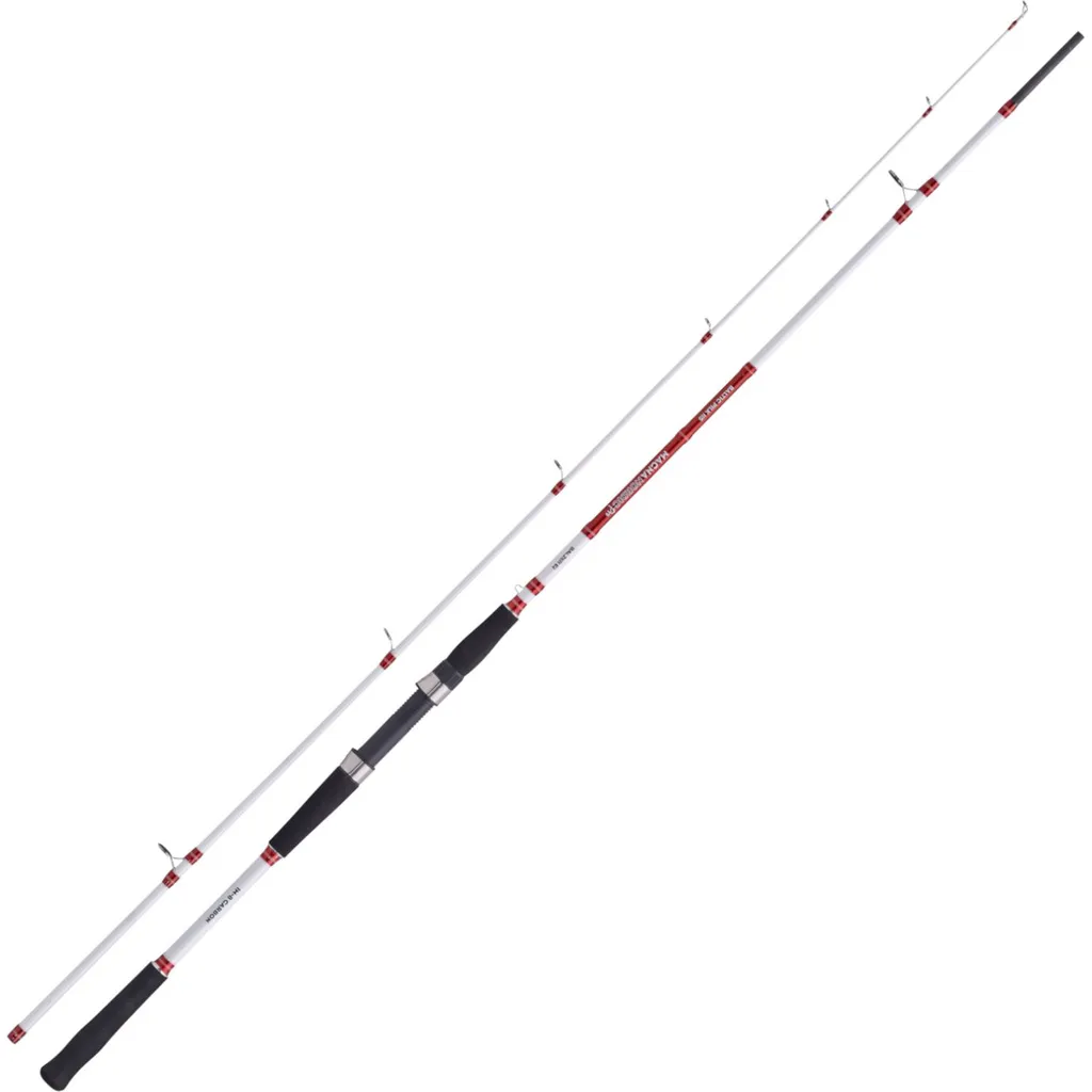 Balzer Magna Nordic Pro Baltic Pilk 115 Meeresrute 2.7m 30–115g 2pc