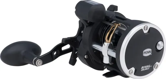 Penn Rival Level Wind 20 LC 5.1:1 541g