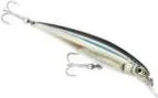 Rapala X-Rap Saltwater Crankbait 12cm 1.2–2.4m 22g ANC